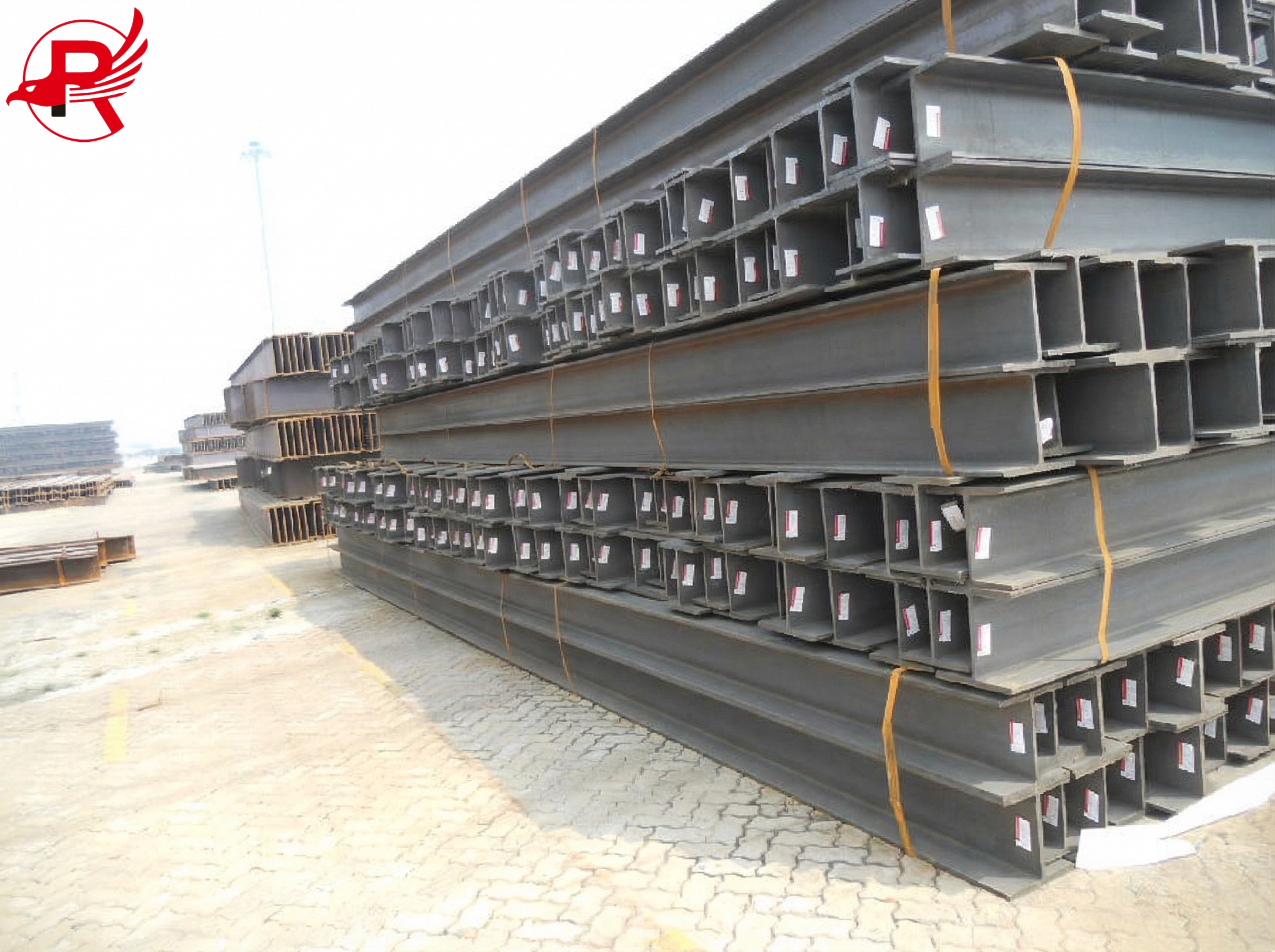 183B6D47_91f4069e-16ac-45f9-9480-9ace1738af69 (1)