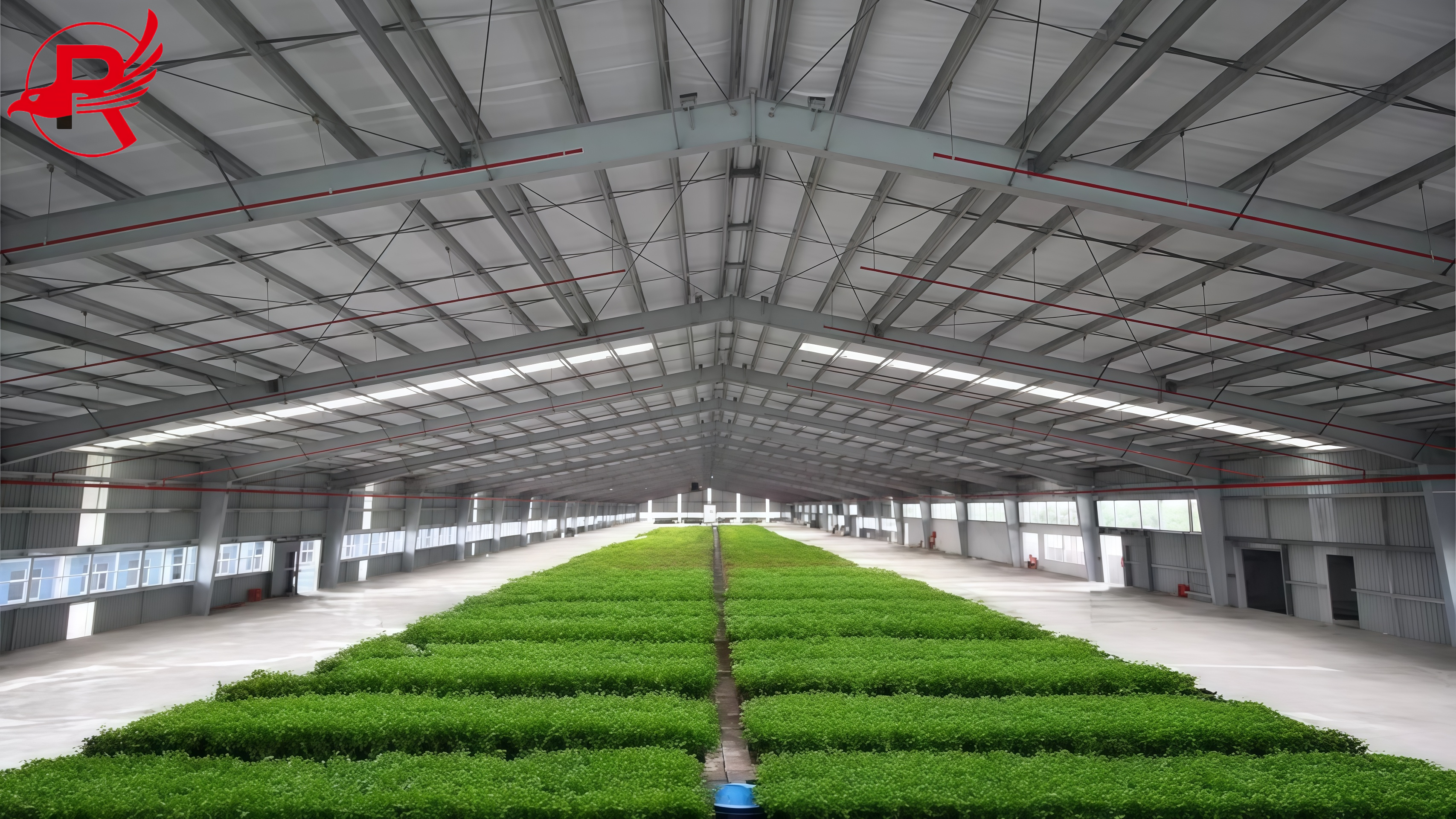 steel structure warehouse, steel structure workshop, commercial building, farming building and factory building3